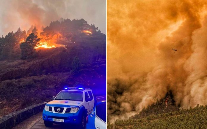 Incendio en Arafo, Tenerife